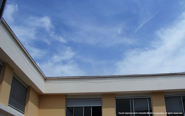 Filets anti-oiseaux mailles 19 - Filet Net